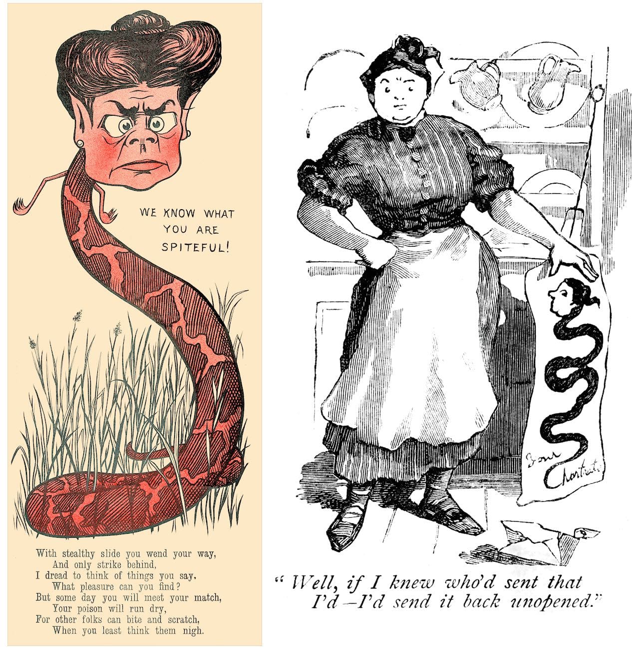 web Snake